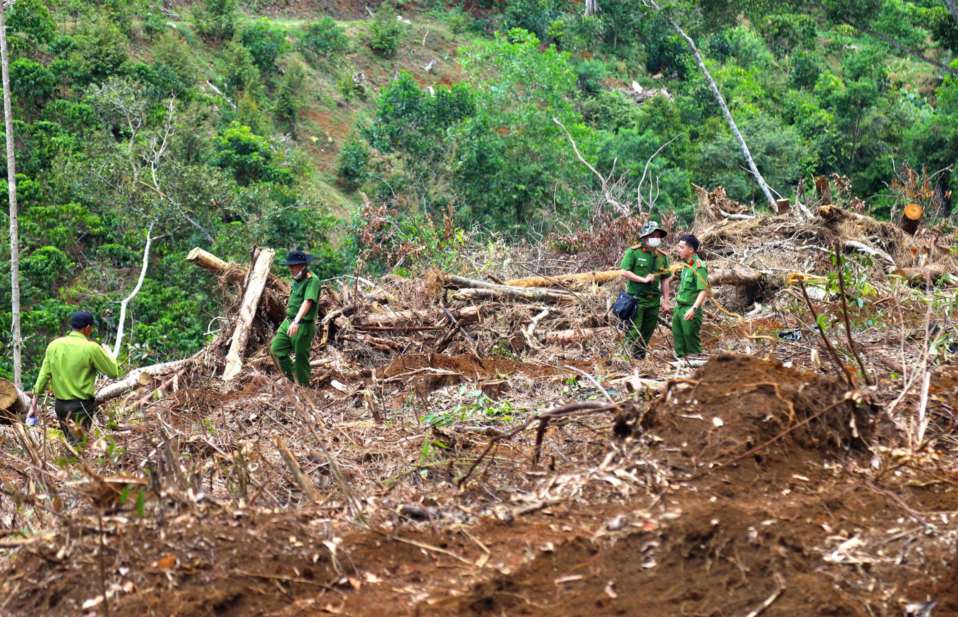 Tiếp tục khám nghiệm hiện trường vụ phá rừng tại tiểu khu 613