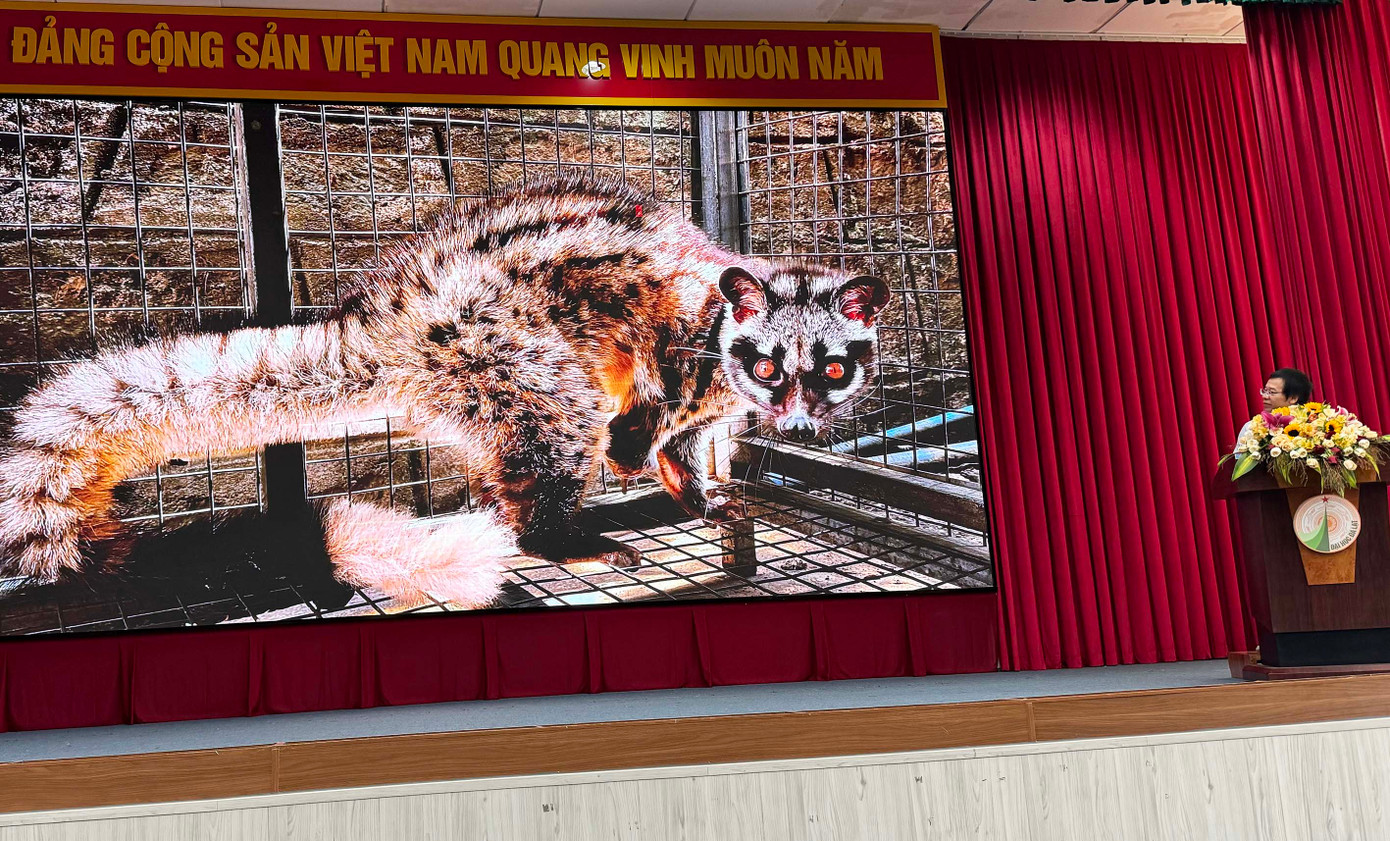 Diễn giả Đỗ Hoàng Giang cung cấp cho sinh viên nhiều thông tin về nạn săn bắt, nuôi nhốt ĐVHD