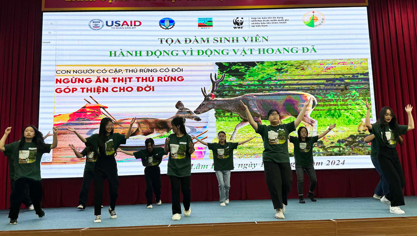 Sinh viên biểu diễn một số tiết mục kêu gọi ngừng ăn thịt thú rừng
