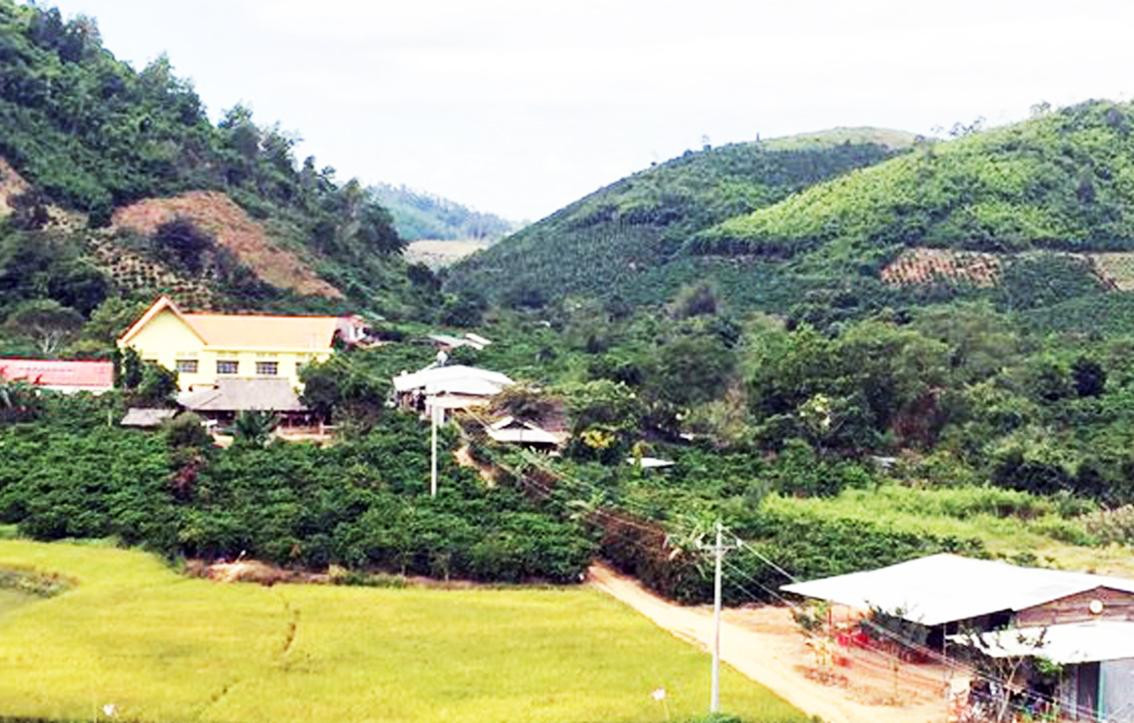 Đường điện dẫn vào thôn Đạ M’Pô Đường điện dẫn vào thôn Đạ M’Pô