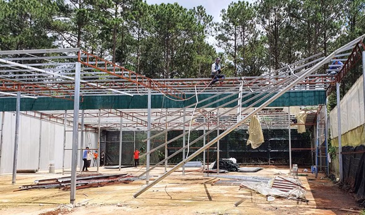 Tháo dỡ nhà kính không phép Tháo dỡ nhà kính không phép