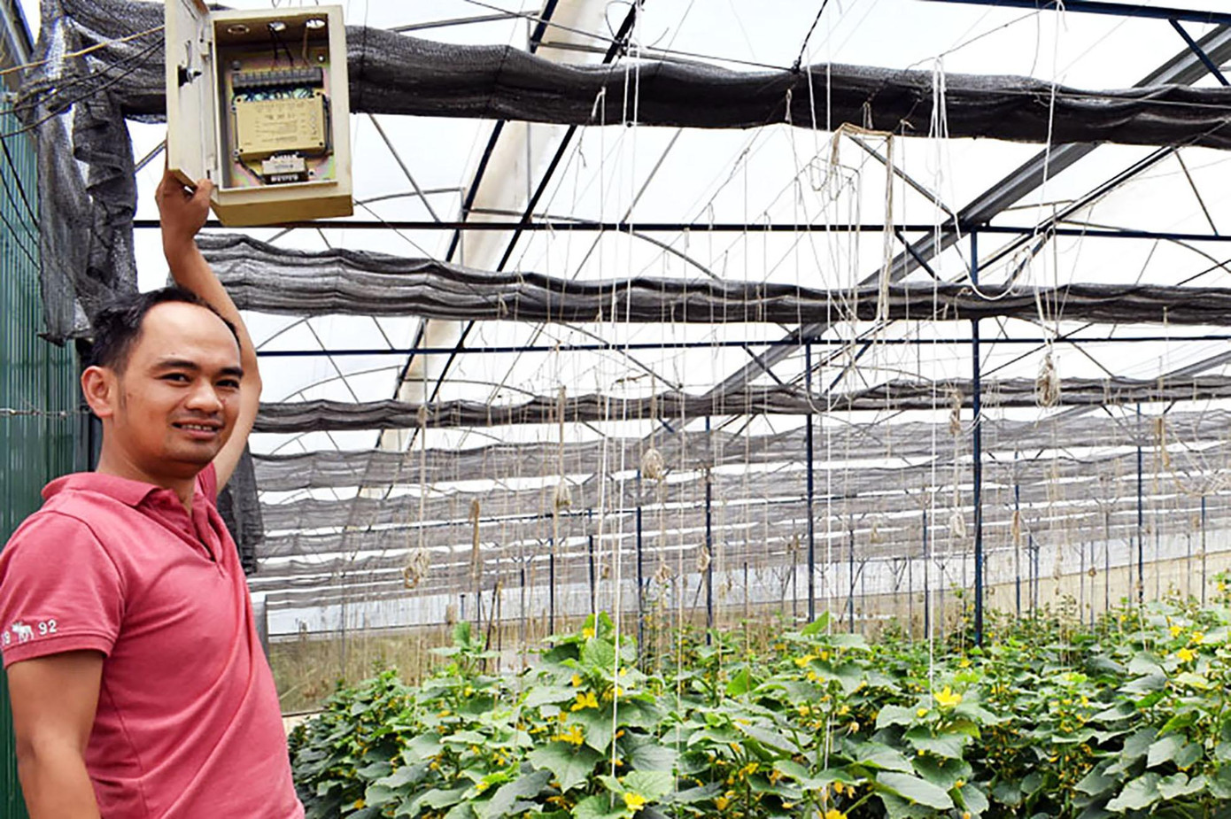 Anh Huy trong vườn rau thủy canh công nghệ thông minh Anh Huy trong vườn rau thủy canh công nghệ thông minh