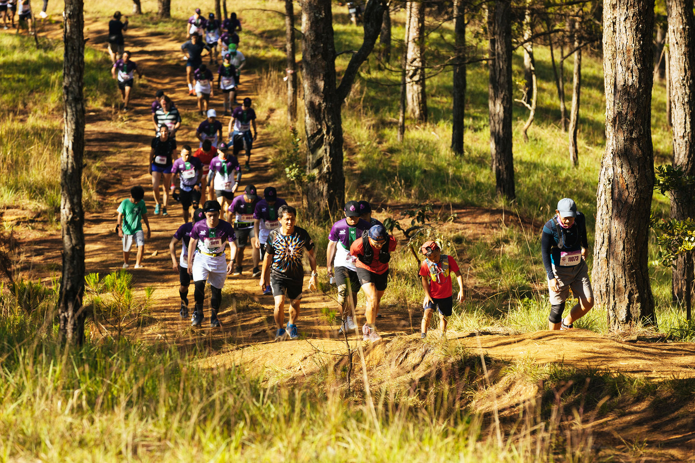 Đường chạy xuyên rừng thông núi Lang Biang Đường chạy xuyên rừng thông núi Lang Biang