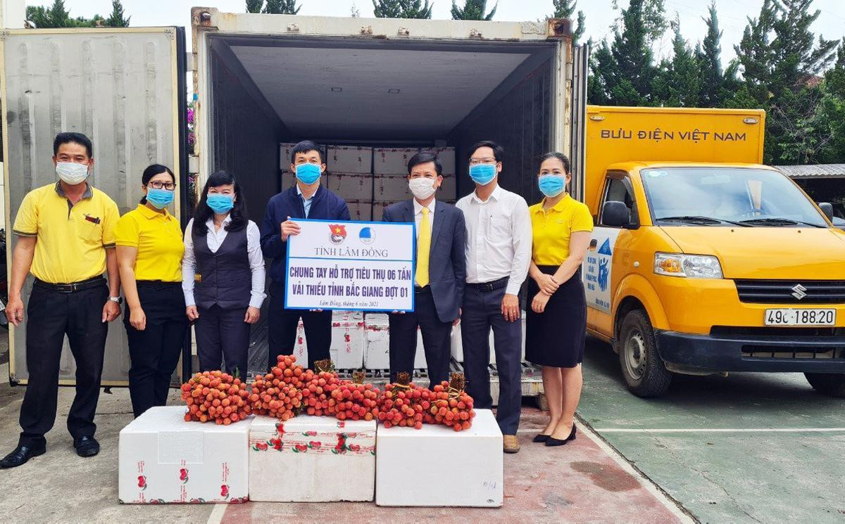 Đoàn thanh niên phối hợp với ngành bưu điện hỗ trợ tiêu thụ vải thiều Đoàn thanh niên phối hợp với ngành bưu điện hỗ trợ tiêu thụ vải thiều