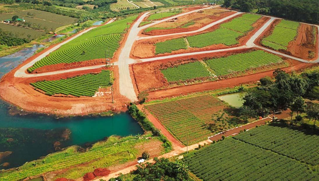 Mở đường giao thông để phân lô đồi chè Mở đường giao thông để phân lô đồi chè