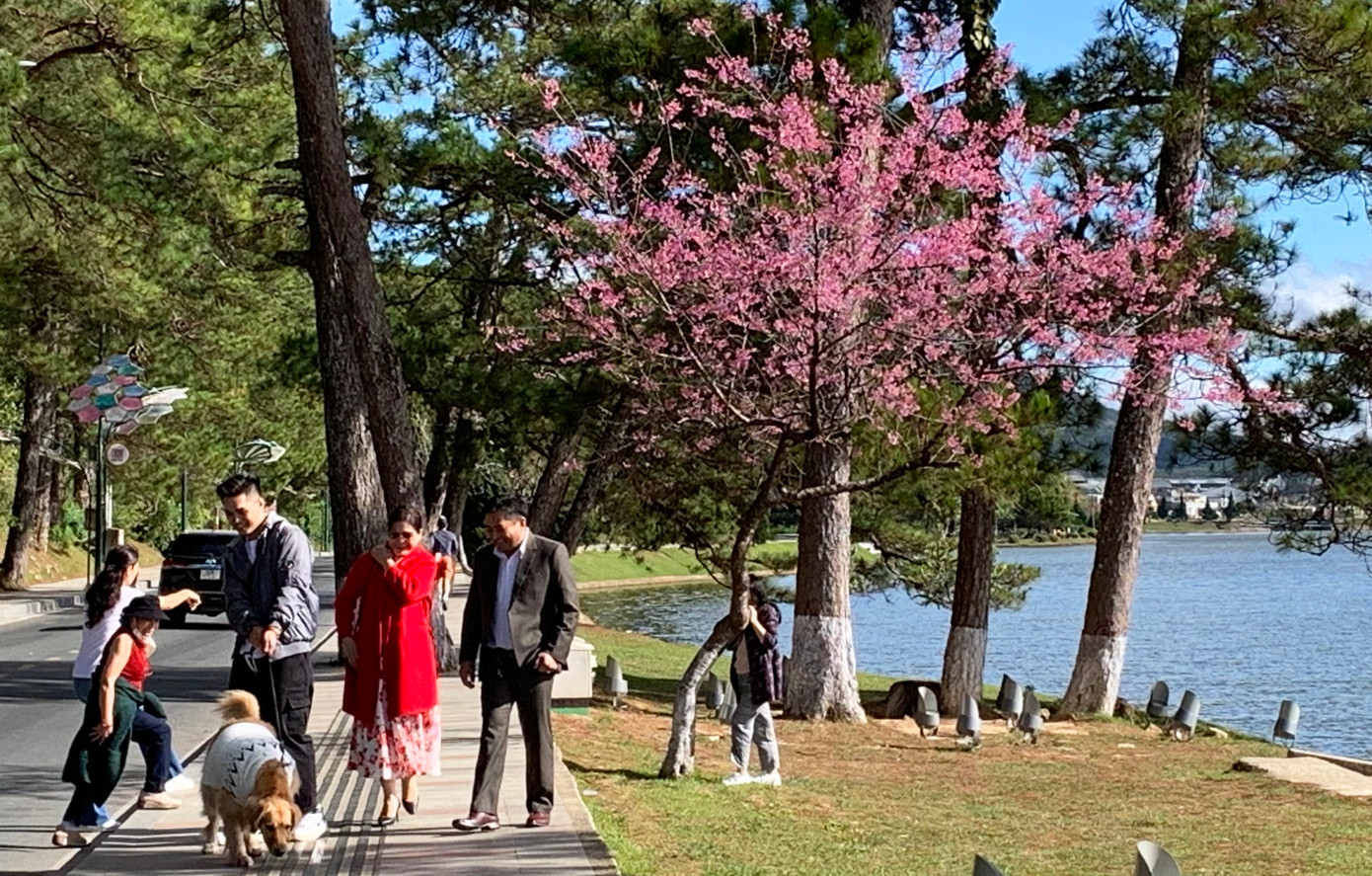 Sẽ có tuyến đường mới song song với đoạn đường này để du khách đi dạo, ngắm cảnh Sẽ có tuyến đường mới song song với đoạn đường này để du khách đi dạo, ngắm cảnh