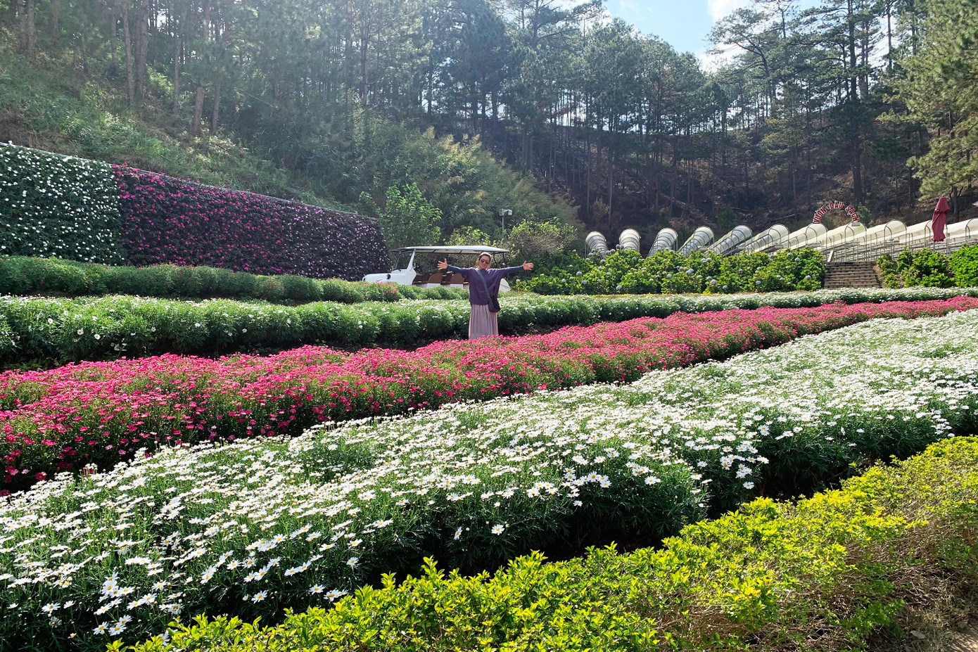 Những vườn hoa đẹp