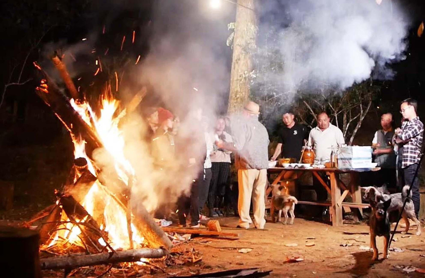 Lửa ấm đêm rừng Lửa ấm đêm rừng