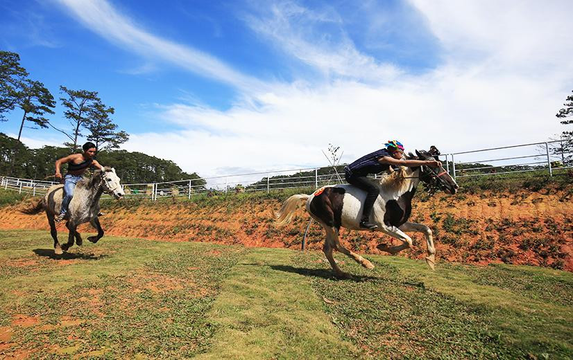 Những cú bứt tốc ngoạn mục Những cú bứt tốc ngoạn mục