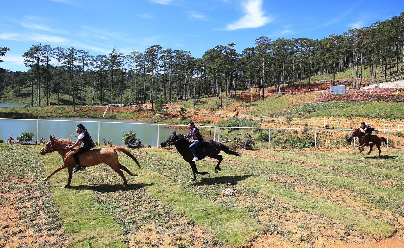 Thi đấu quyết liệt Thi đấu quyết liệt