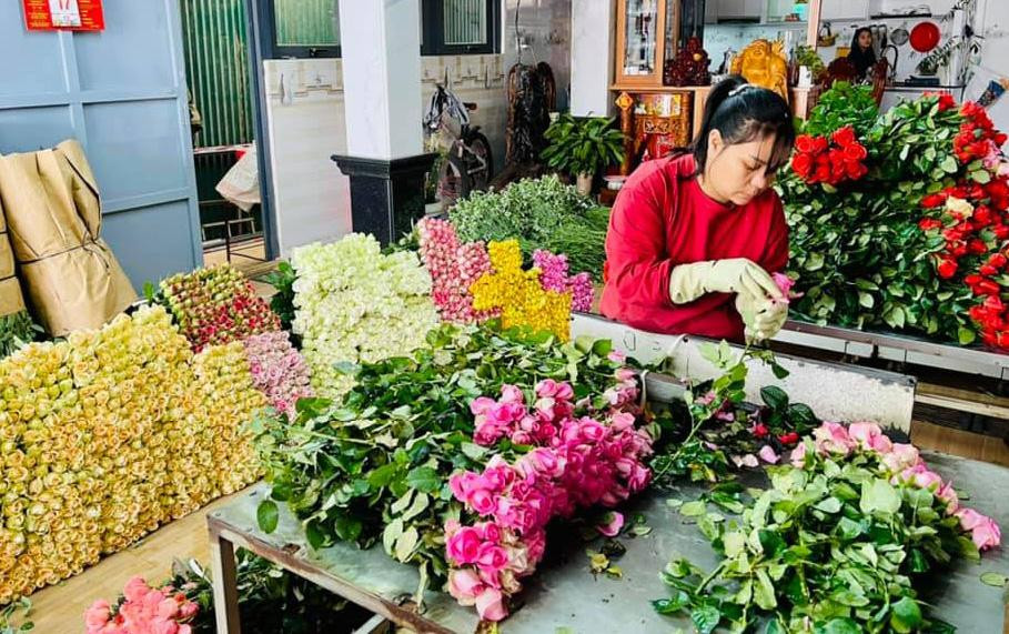 Hoa hồng đỏ được mua bán tại vườn với giá từ 5.000 - 6.000đ/cành, đặc biệt một số loại hồng đỏ giống mới có giá trên dưới 7.000đ. Hoa hồng các màu khác (trắng, hồng, vàng, cam…) từ 3.500 - 4.200đ. Lão nông Nguyễn Văn Hóa (làng hoa Vạn Thành) cho hay vụ này nhà vườn Đà Lạt được mùa bởi thời tiết thuận lợi, nắng ấm kéo dài. Chất lượng hoa cũng tăng lên với cành khỏe, cánh hoa lớn và dày; một số loài hoa hồng tỏa hương thơm dìu dịu. Trong ảnh: Sơ chế hoa hồng trước khi đưa đi tiêu thụ.