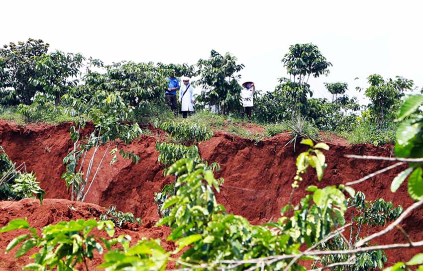 Một vụ sụt lún đất từng xảy ra tại xã Liên Hà Một vụ sụt lún đất từng xảy ra tại xã Liên Hà