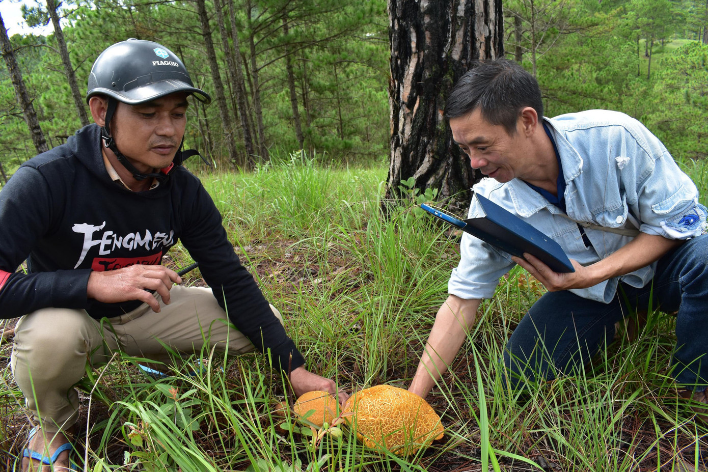 Ông Nguyễn Quốc Huân (phải) có hàng chục năm kinh nghiệm hái nấm