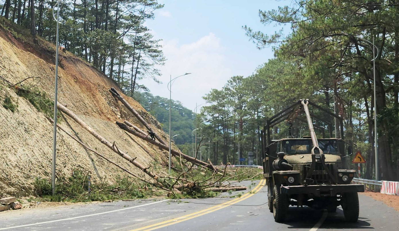 Nhiều đoạn ta luy chưa được xây kè bảo vệ nên dễ bị sạt lở kéo theo tình trạng ngã đổ cây