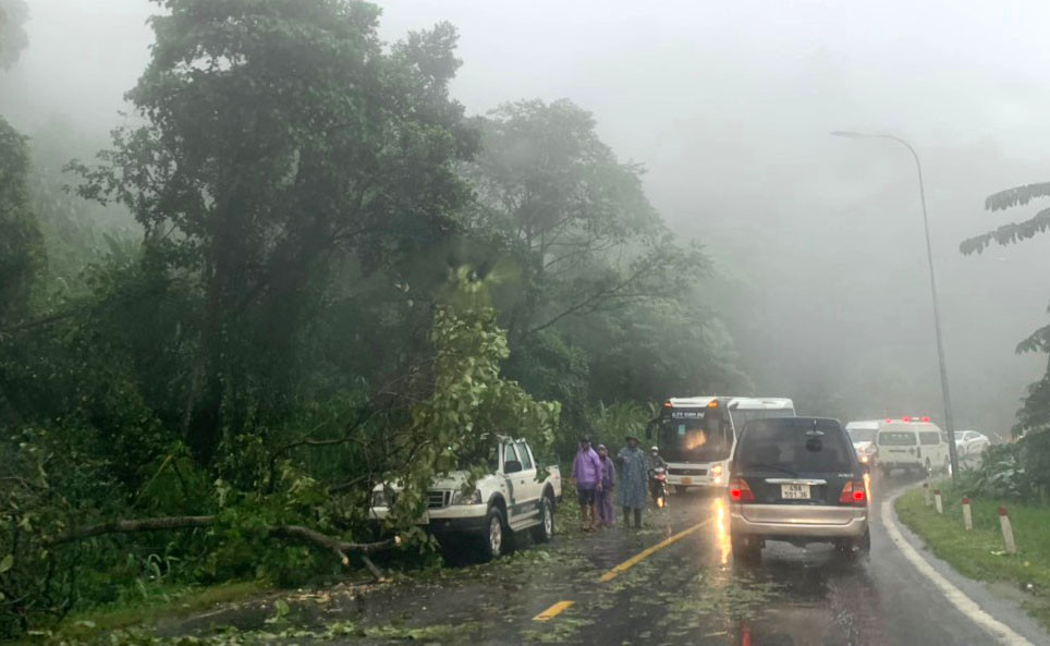 Cây ngã ra đường đè lên ô tô bán tải Cây ngã ra đường đè lên ô tô bán tải