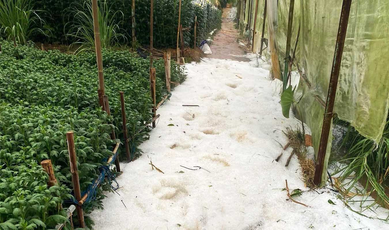 Đá tràn vào vườn rau ở huyện Lạc Dương Đá tràn vào vườn rau ở huyện Lạc Dương