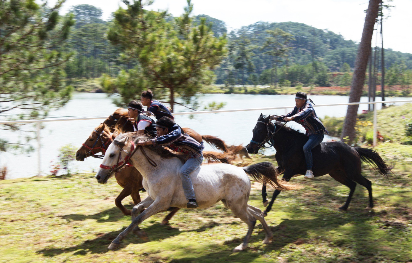 Giải đua ngựa không yên huyện Lạc Dương lần thứ nhất năm 2022. Giải đua ngựa không yên huyện Lạc Dương lần thứ nhất năm 2022.
