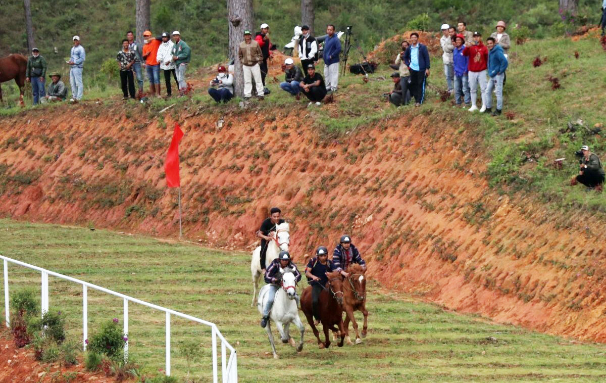 Nhiều người cổ vũ giải đua ngựa không yên ở Lạc Dương. Nhiều người cổ vũ giải đua ngựa không yên ở Lạc Dương.