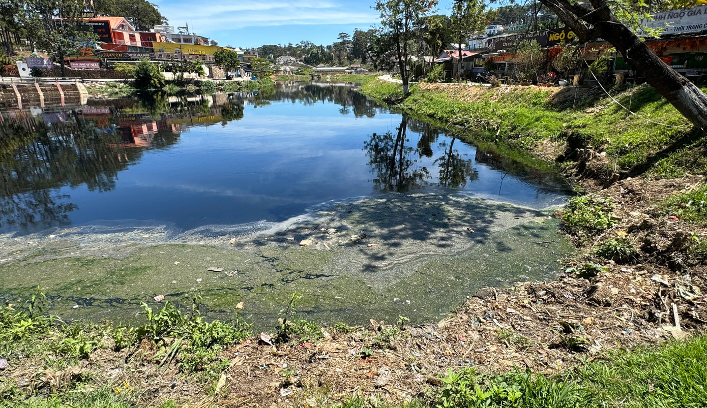 Hồ lắng gần công viên Yersin đầy rác, bốc mùi hôi thối nồng nặc Hồ lắng gần công viên Yersin đầy rác, bốc mùi hôi thối nồng nặc