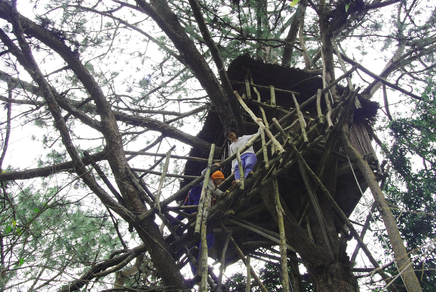 Các bạn trẻ trải nghiệm cảm giác thú vị khi ngủ trong chòi vắt vẻo trên cây Các bạn trẻ trải nghiệm cảm giác thú vị khi ngủ trong chòi vắt vẻo trên cây