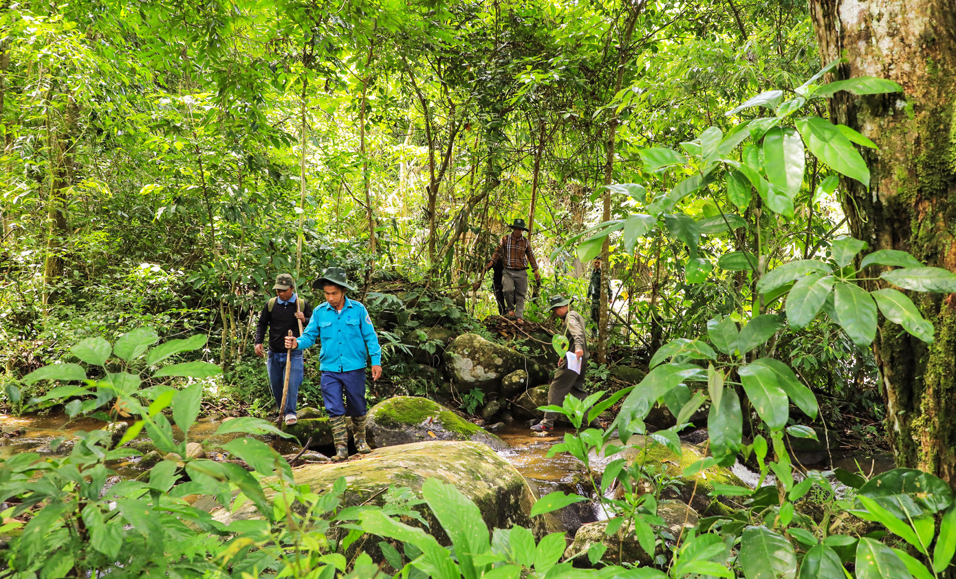 Tuần tra bảo vệ rừng ở huyện Đam Rông Tuần tra bảo vệ rừng ở huyện Đam Rông