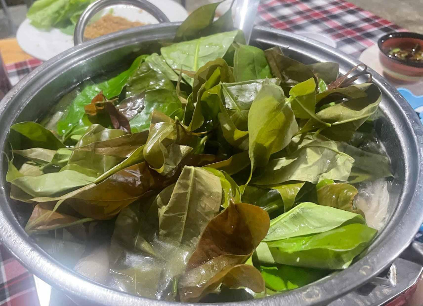 Lá bép, loại rau rừng được sử dụng để chế biến nhiều món như xào, nấu lẩu... Lá bép, loại rau rừng được sử dụng để chế biến nhiều món như xào, nấu lẩu...