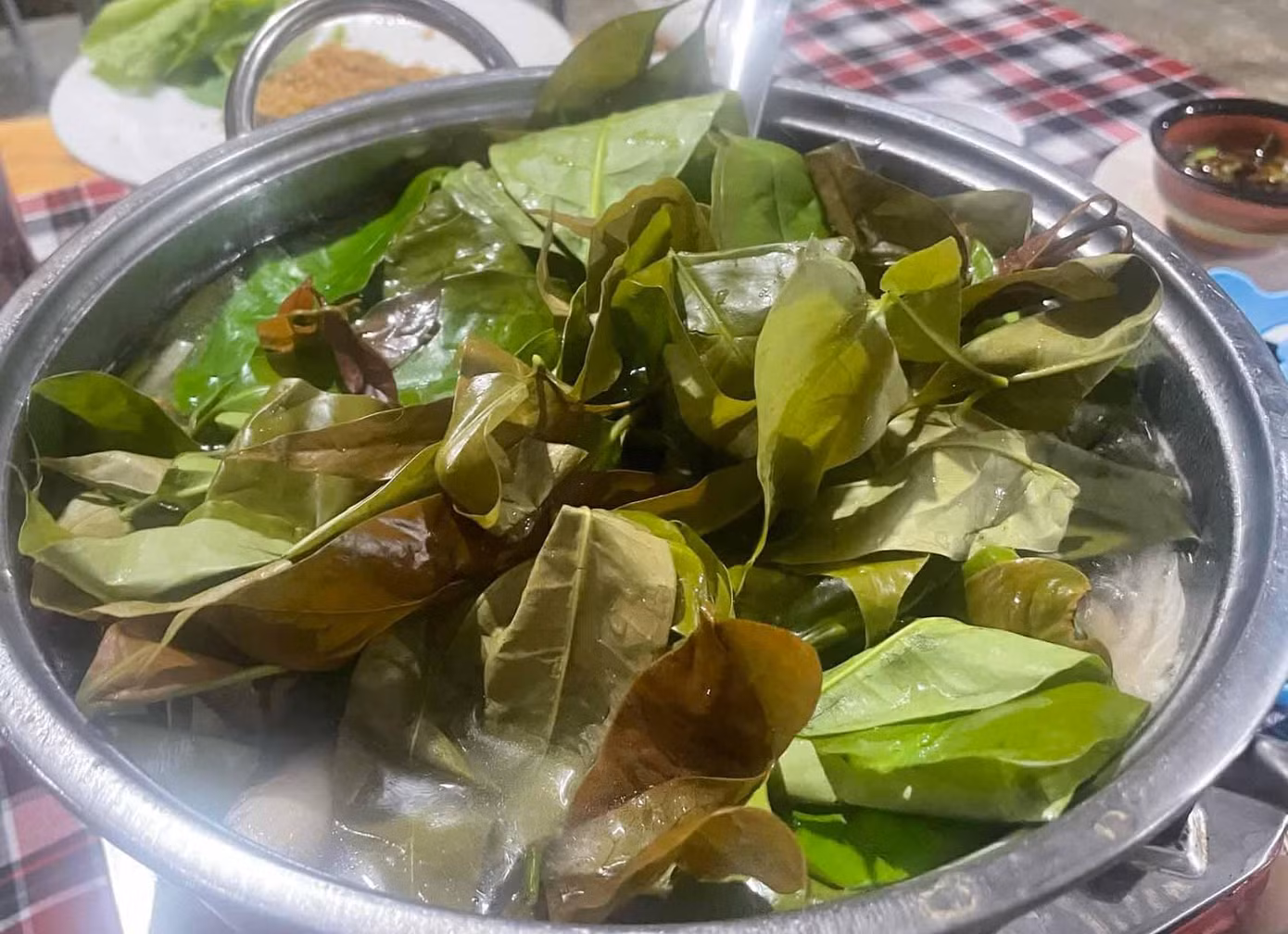 Lá bép, loại rau rừng được sử dụng để chế biến nhiều món như xào, nấu lẩu...