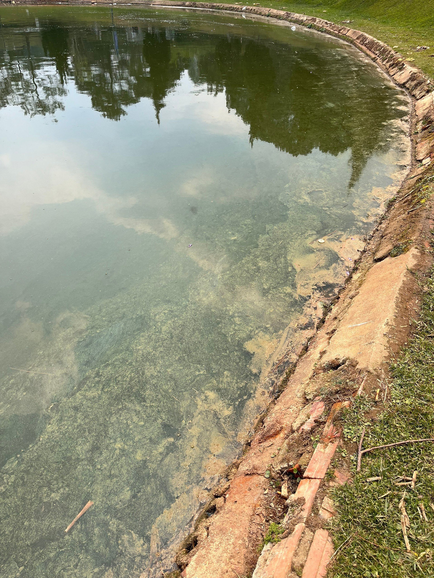 Tảo lam nổi lên mặt hồ, bốc mùi hôi