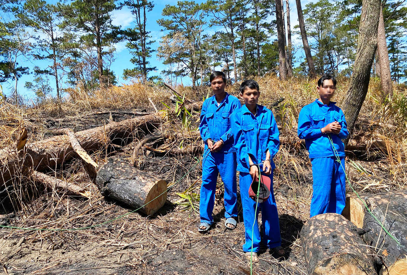 3 trong số 5 đối tượng phá rừng tại tiểu khu 216 3 trong số 5 đối tượng phá rừng tại tiểu khu 216