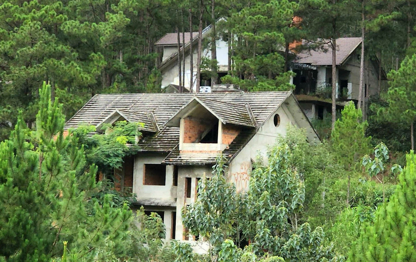 Những biệt thự bị bỏ hoang giữa rừng thông Những biệt thự bị bỏ hoang giữa rừng thông