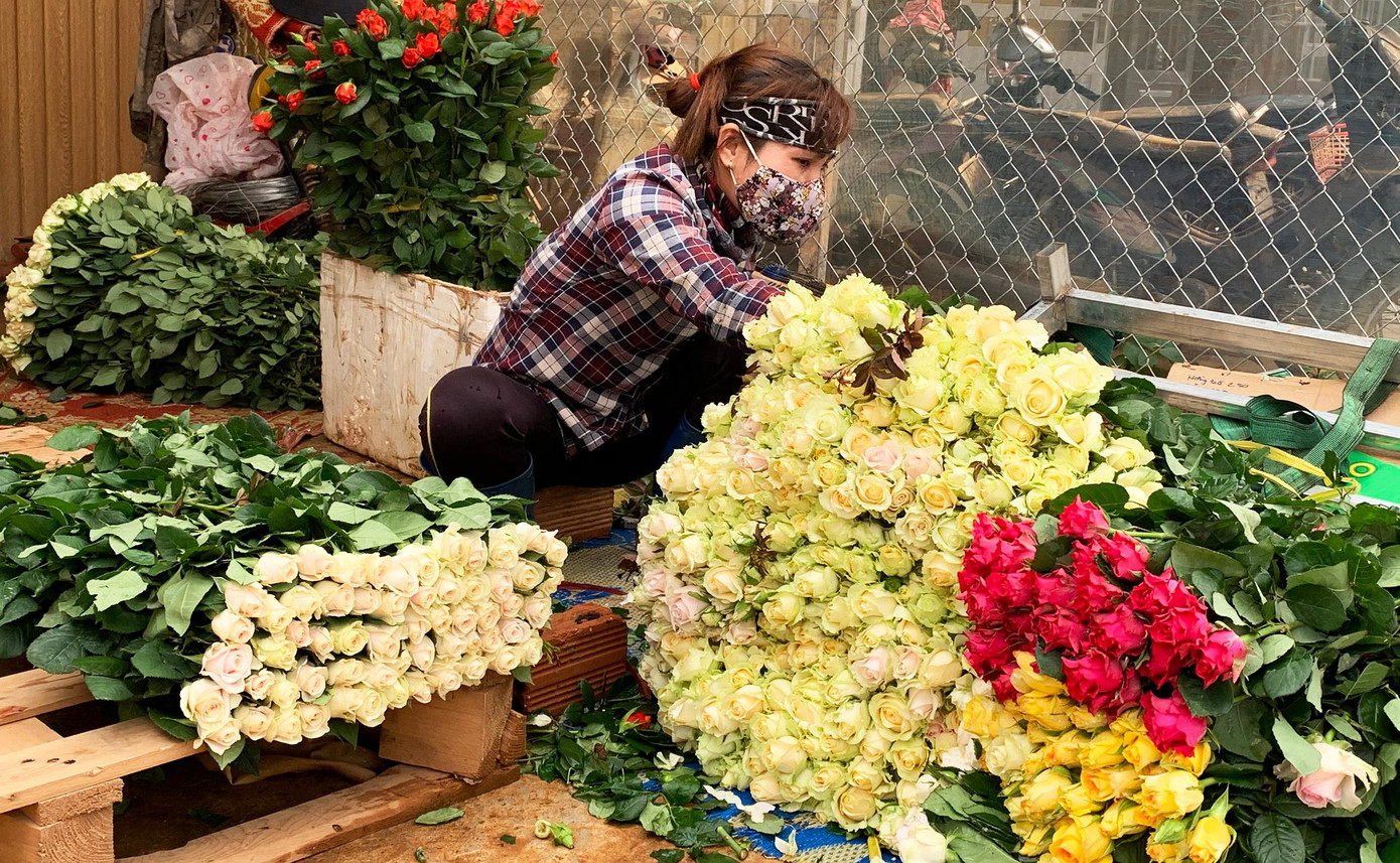 Sơ chế hoa ở Lạc Dương