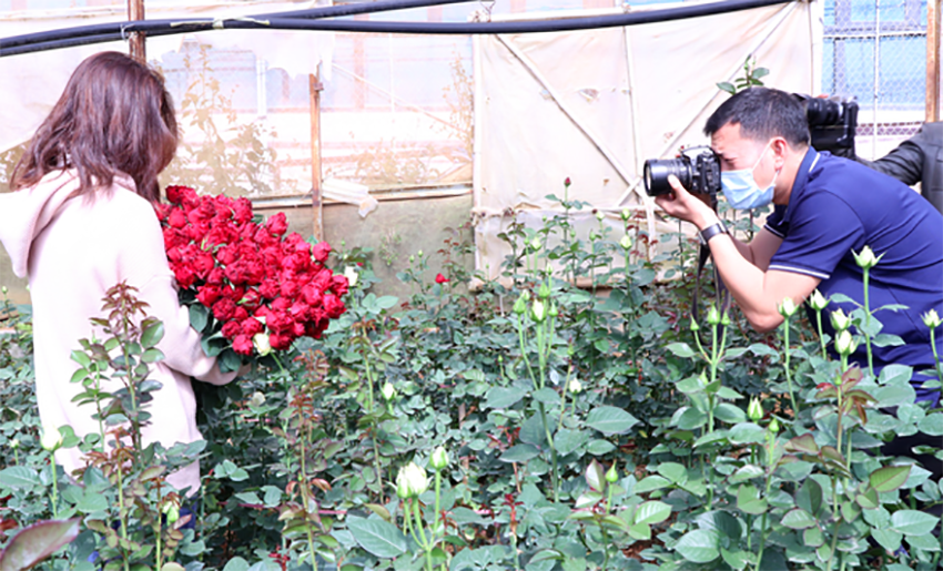 Các bạn trẻ chụp ảnh lưu niệm trong vườn hoa hồng Lang Biang