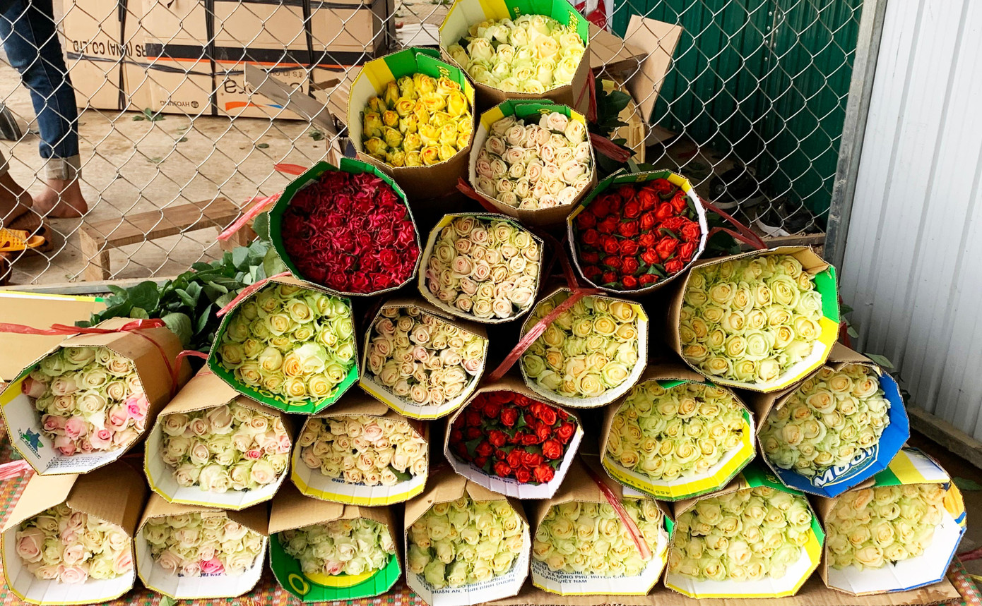 Đóng hoa để chuyển đến các địa phương khác tiêu thụ