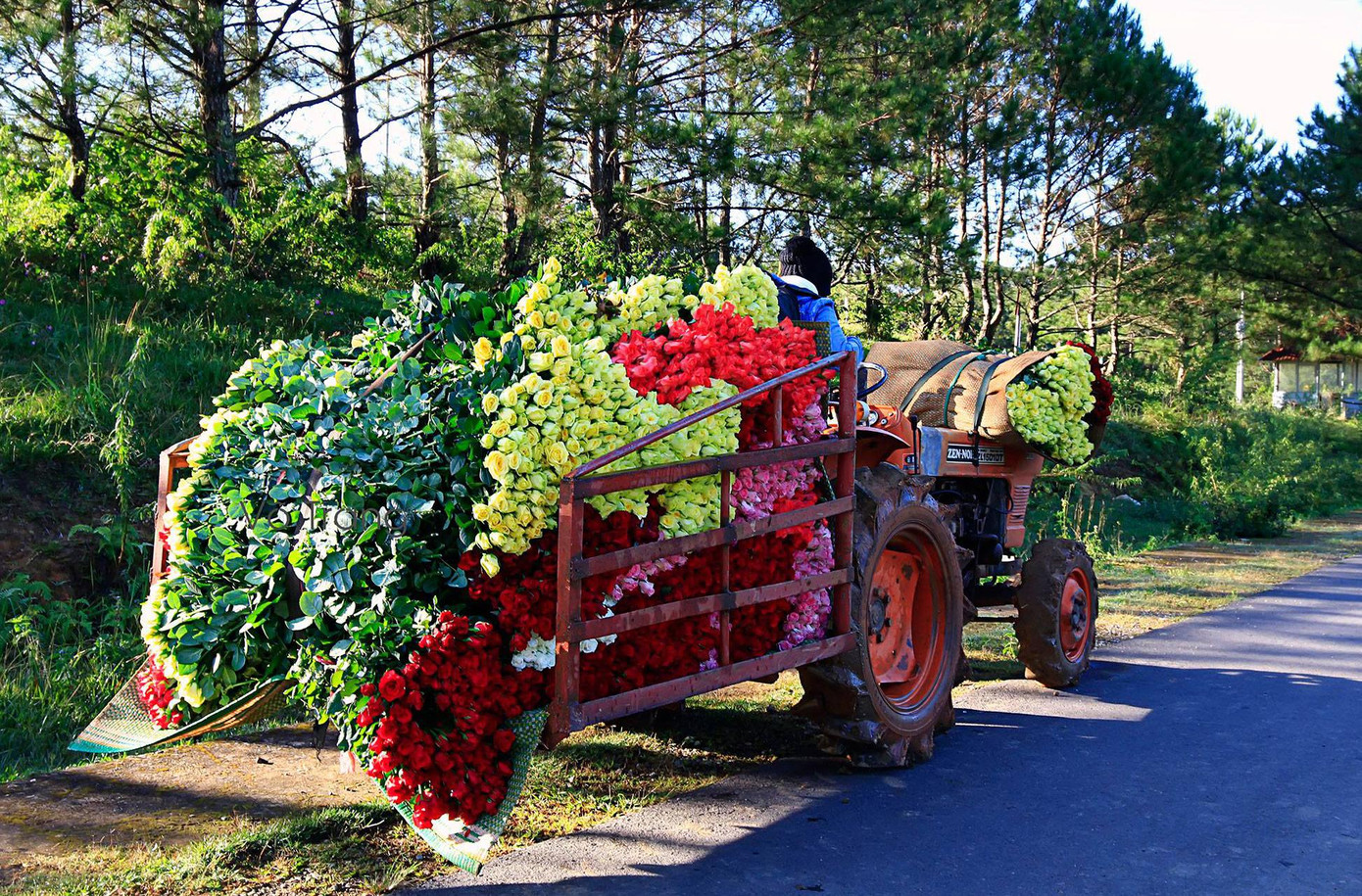 Vận chuyển hoa hồng đi tiêu thụ. Ảnh: Võ Trang
