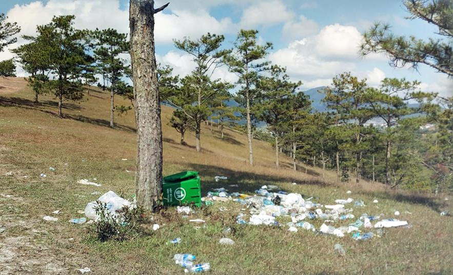 Xả rác bừa bãi trên đồi thông Xả rác bừa bãi trên đồi thông