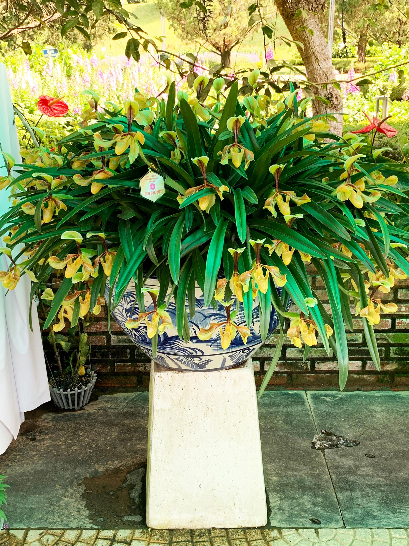 Tác phẩm đạt giải đặc biệt Tác phẩm đạt giải đặc biệt