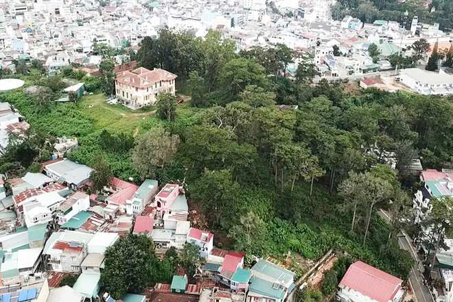 Khu vực đồi Dinh Tỉnh trưởng cũ là mảng xanh duy nhất xung quanh khu Hòa Bình Khu vực đồi Dinh Tỉnh trưởng cũ là mảng xanh duy nhất xung quanh khu Hòa Bình