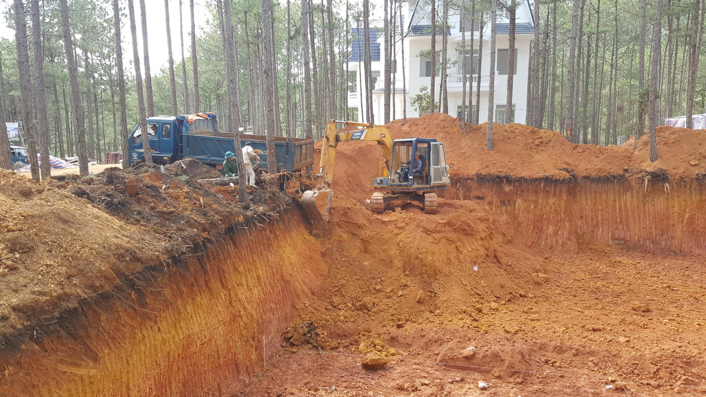 Một doanh nghiệp phá rừng thông trái phép khi xây dựng khu nghỉ dưỡng ở TP Đà Lạt