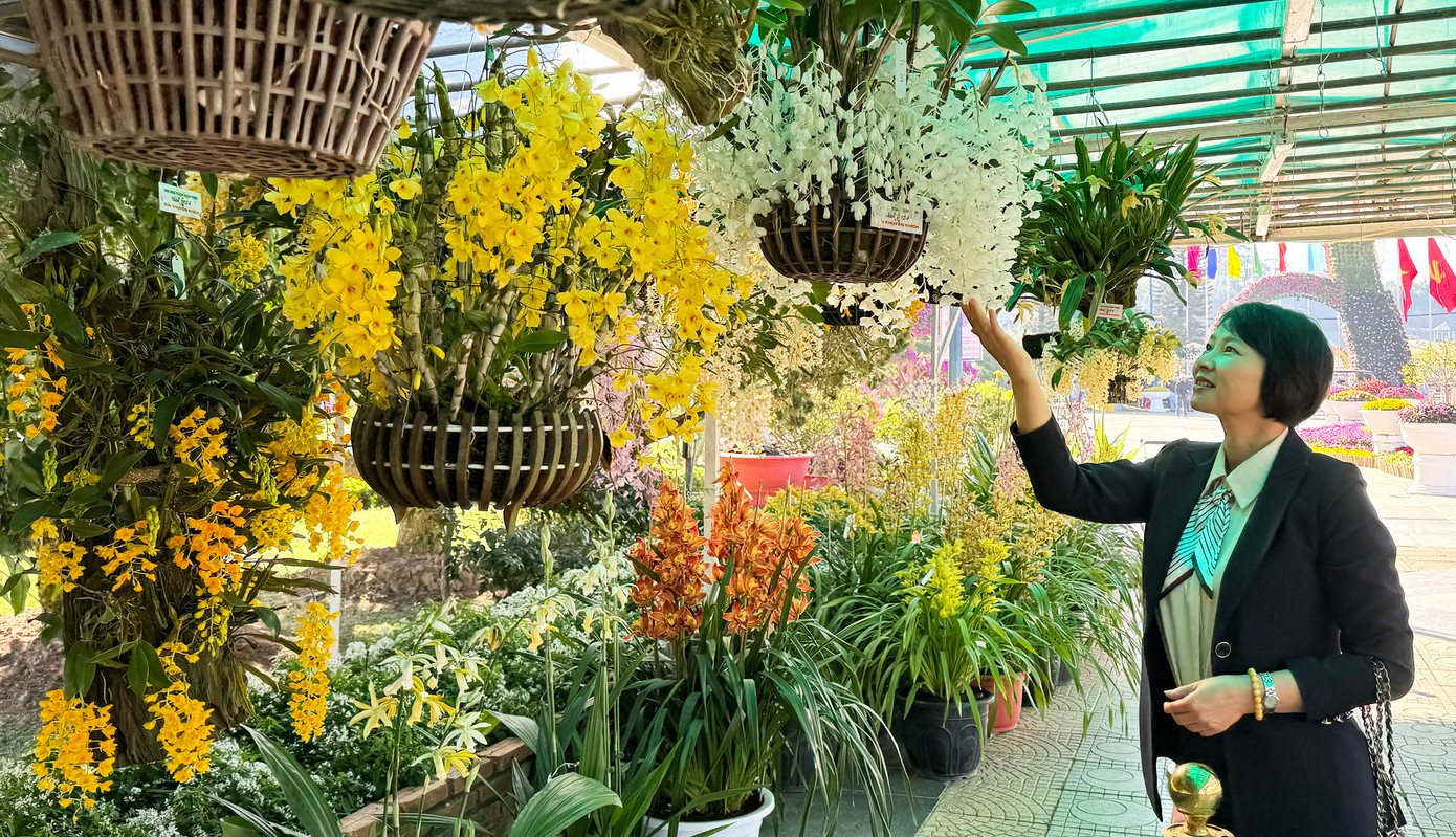 Ấn tượng nhất là khu vực trưng bày hoa lan. Ấn tượng nhất là khu vực trưng bày hoa lan.