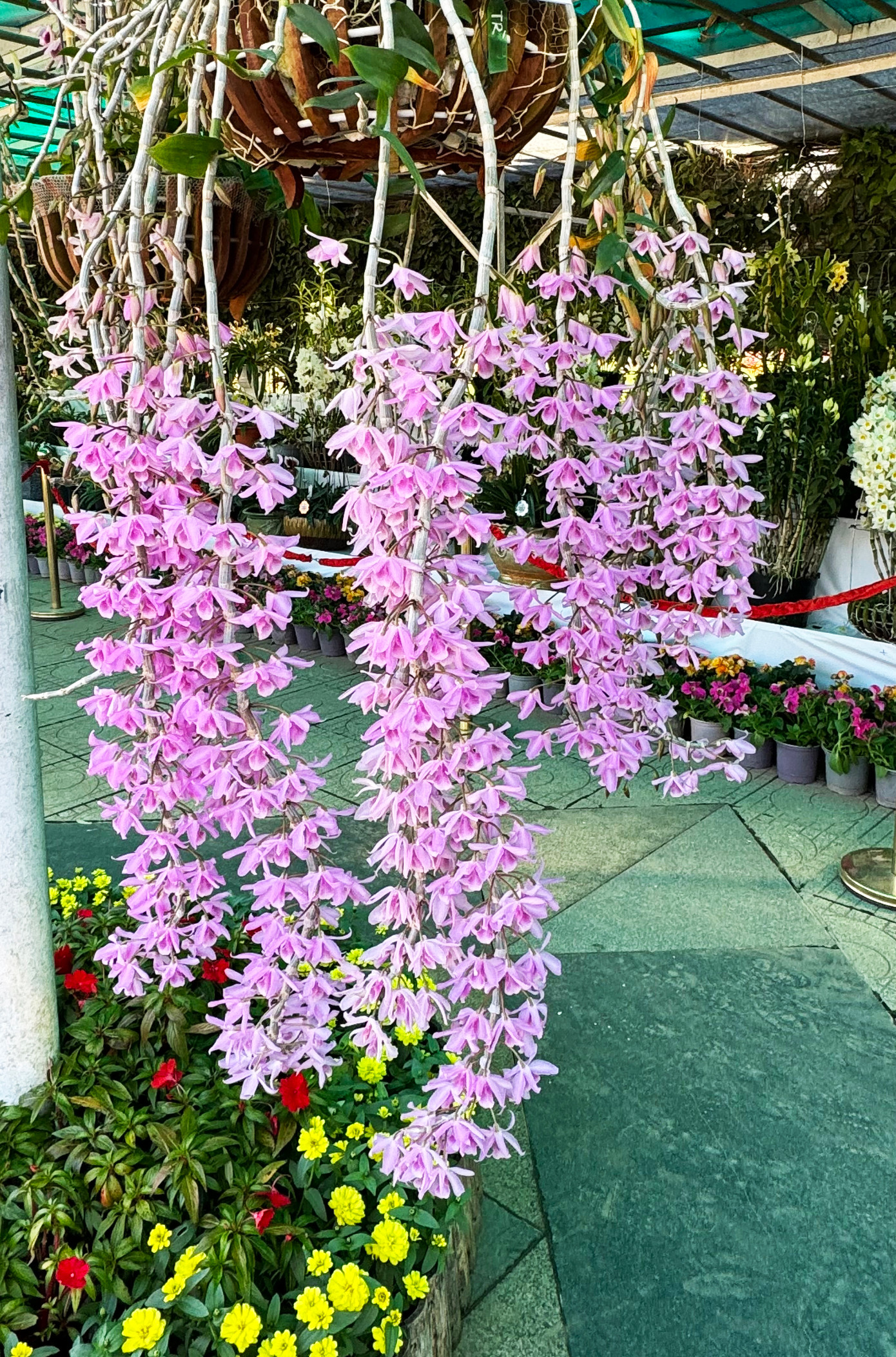 Tác phẩm hoa đẹp. Tác phẩm hoa đẹp.