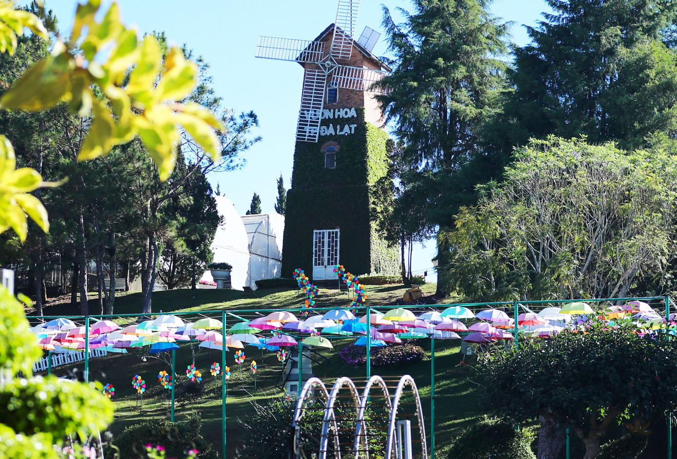 Một không gian khác ở Vườn hoa Đà Lạt. Một không gian khác ở Vườn hoa Đà Lạt.
