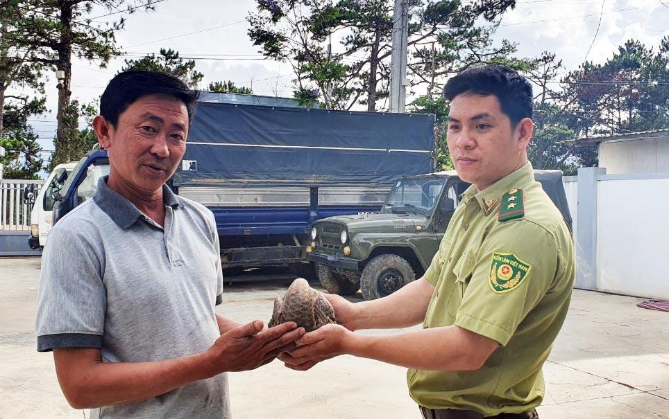Ông Dũng giao nộp con tê tê cho kiểm lâm Ông Dũng giao nộp con tê tê cho kiểm lâm