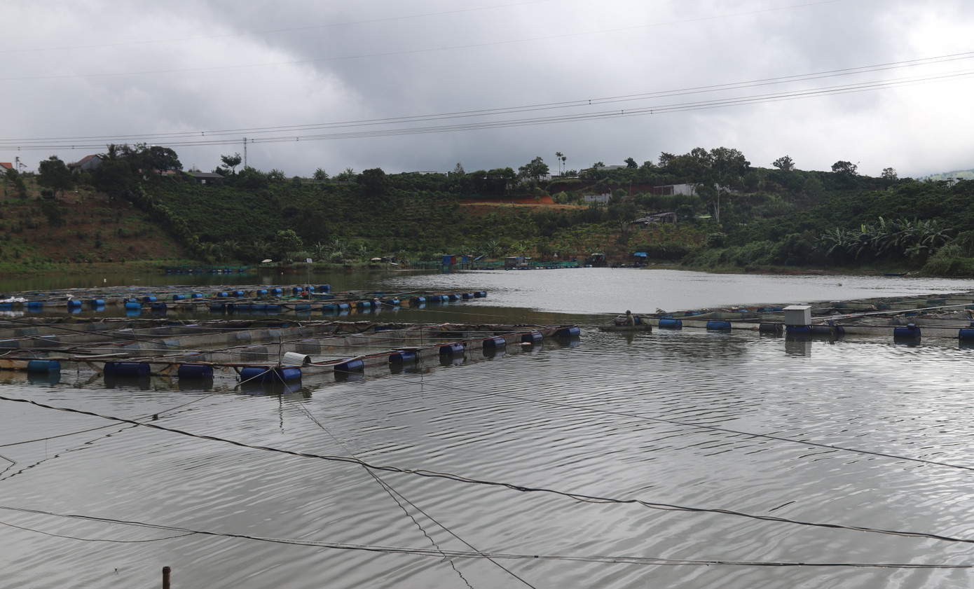 Mưa suốt mấy ngày tại khu vực nuôi cá ở hồ Mai Thành