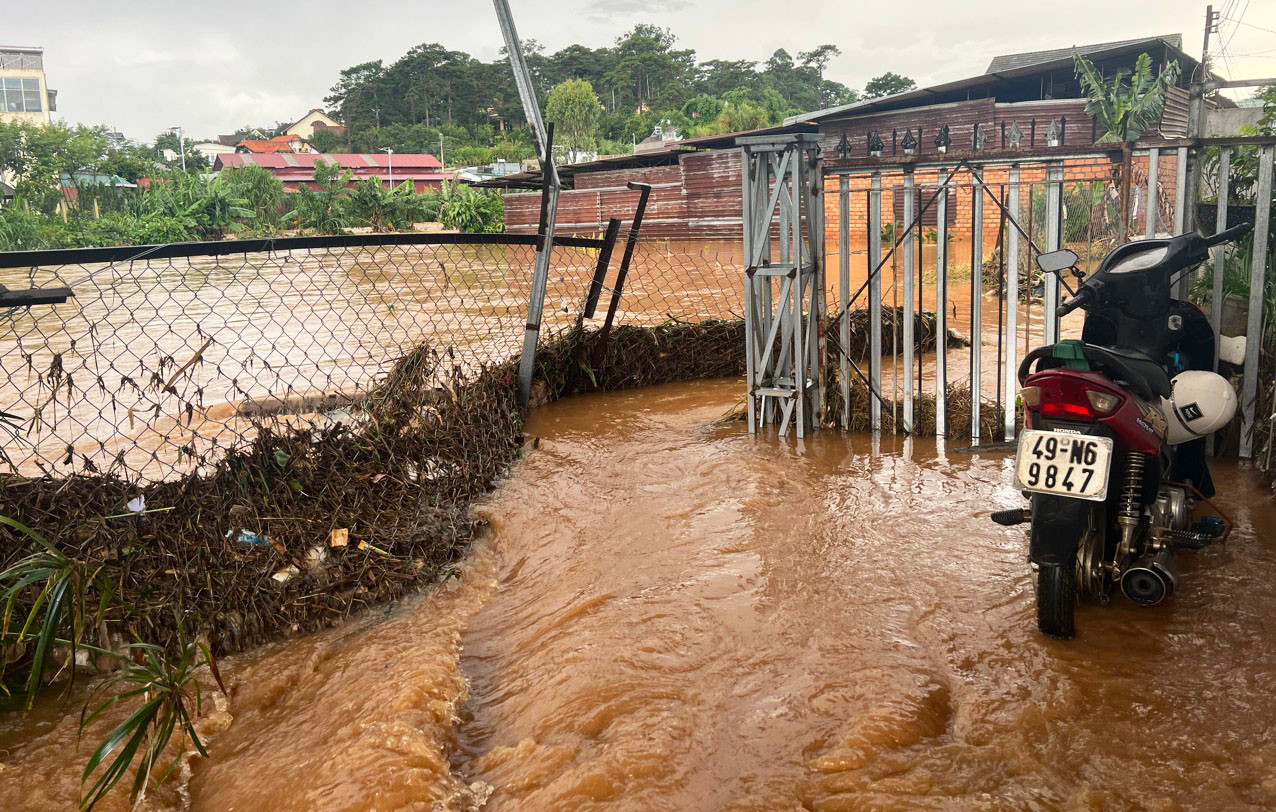Hoa màu bị chìm trong nước lũ