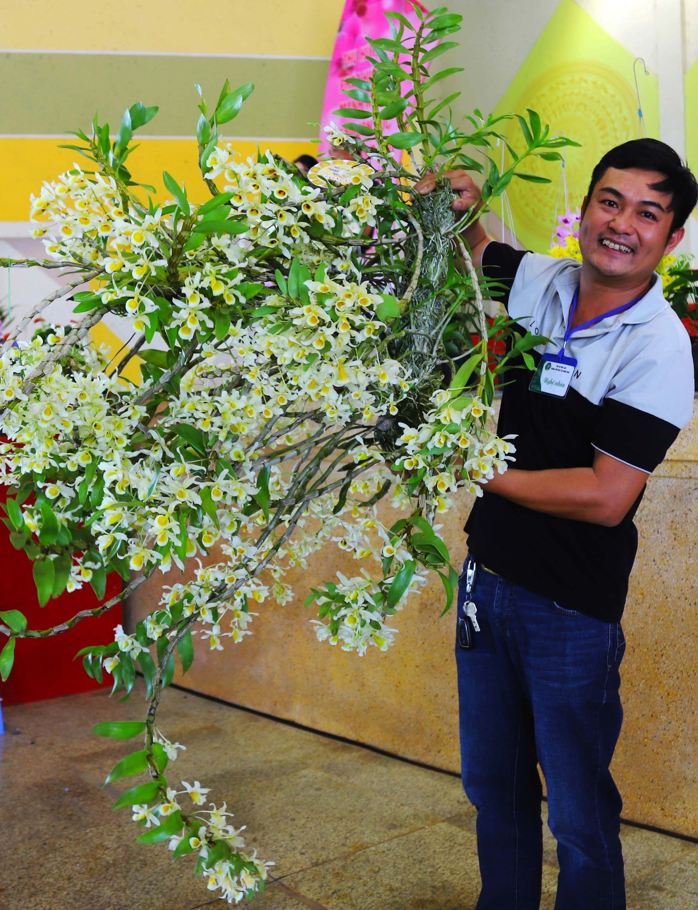 Tác phẩm Hoàng Phi hạc đạt giải nhất bộ môn lan rừng.