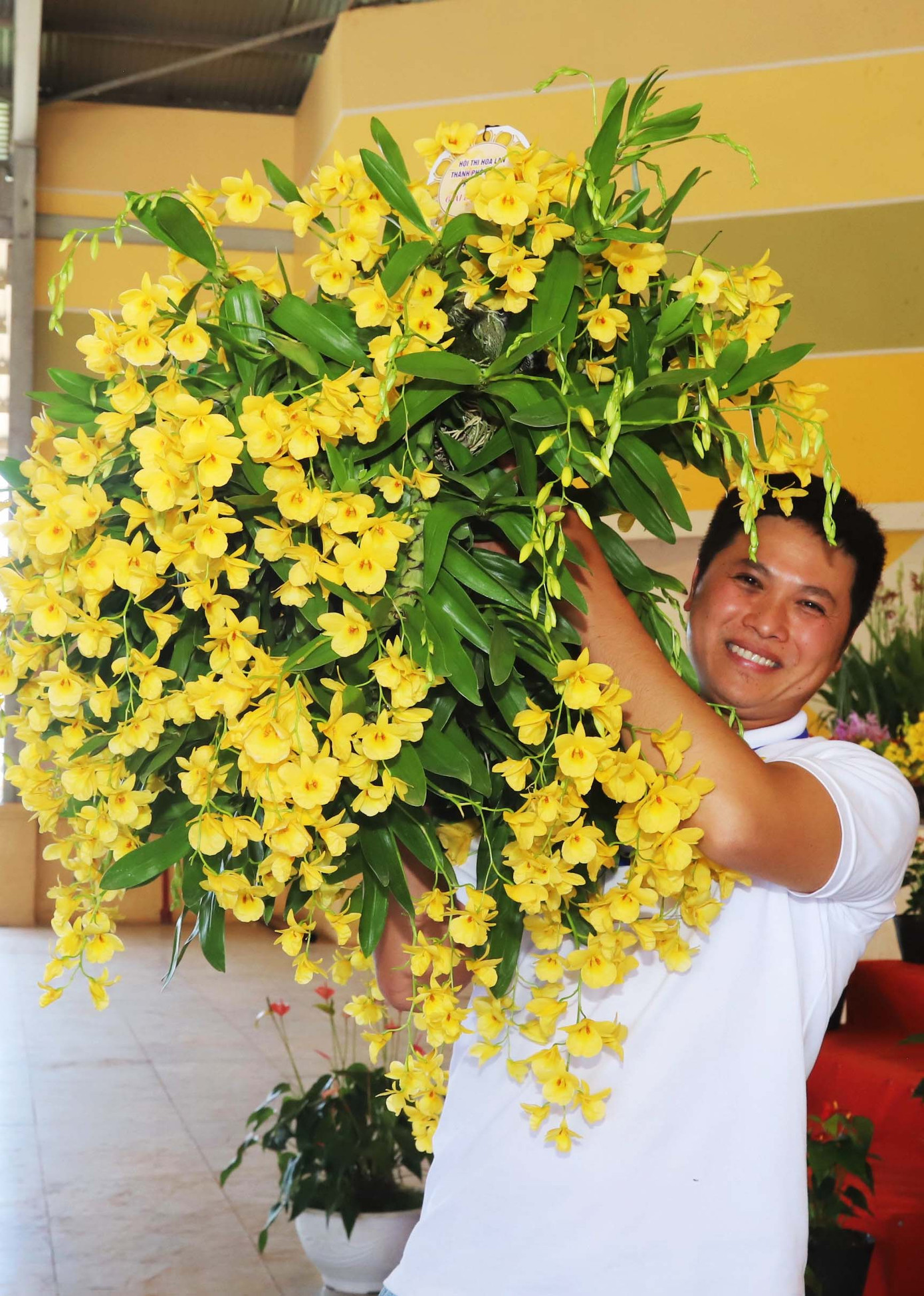 Tác phẩm Kim điệp mắt đỏ đạt giải đặc biệt.