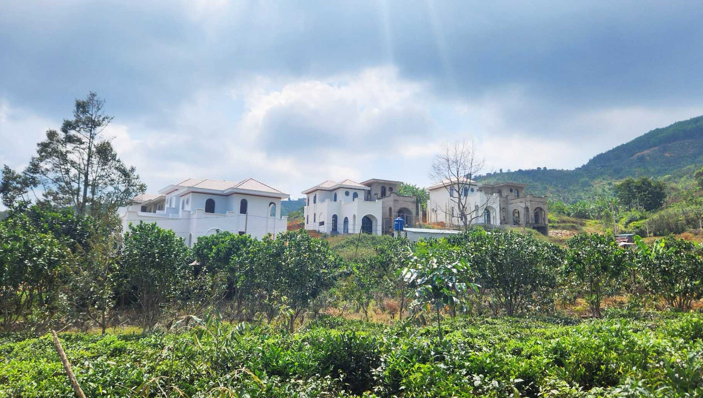 Khu nhà dính vi phạm nằm trên ngọn đồi, xung quanh là vườn cà phê.