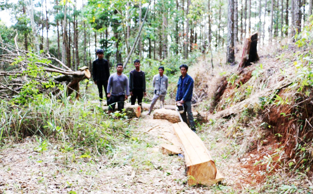 Đưa 5 đối tượng đi thực nghiệm hiện trường vụ phá rừng tại TK 275 Đưa 5 đối tượng đi thực nghiệm hiện trường vụ phá rừng tại TK 275
