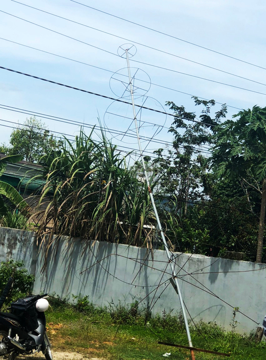 Cây thông Noel bị ngã đổ, vướng vào dây điện trung thế gây ra vụ tai nạn