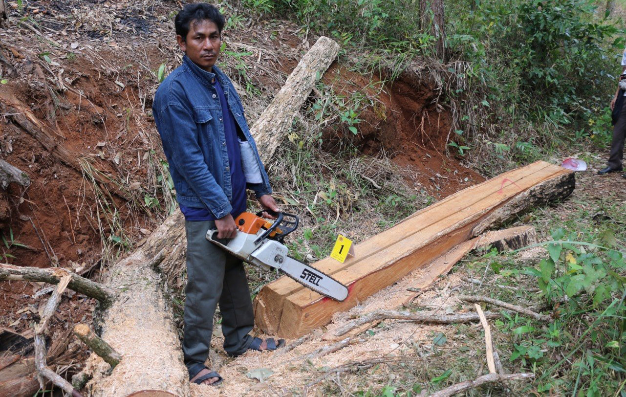 Đối tượng mô tả lại hành vi xẻ gỗ cây tùng Đối tượng mô tả lại hành vi xẻ gỗ cây tùng